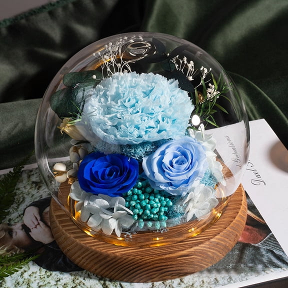 Aihimol Preserved Real Roses with Colorful Mood Light Wishing Bottle, Eternal Rose，Never Withered Flowers, Table Decor,Christmas Anniversary Valentine's Gifts