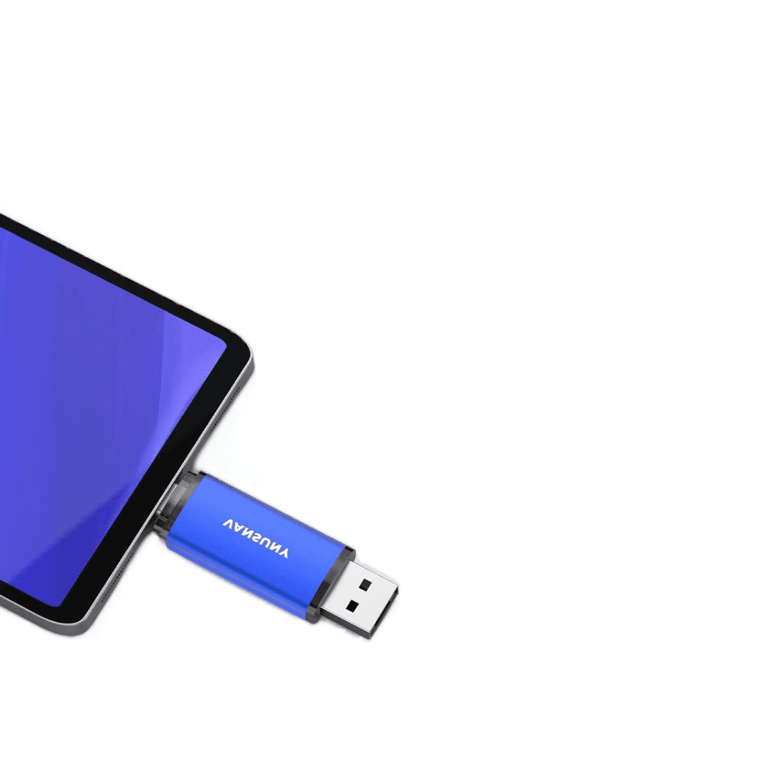 RAOYI USB C Flash Drive 64GB OTG Dual Connector USB A + Type C Port ...