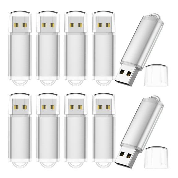 RAOYI USB Flash Drive 10Pack USB 2.0 Pen Drive Memory Stick Thumb Drive Bulk
