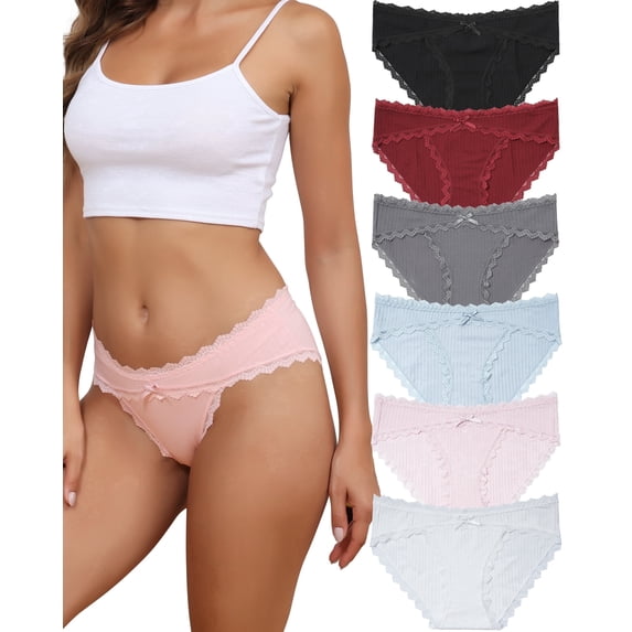 Aijolen Women's Cotton Cheeky Bikini Lace Stretch Hipster Briefs 6 Pack(2XL,Hydrangea Dell)