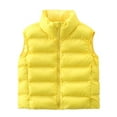 thumbnail image 1 of Ailaofu Down Puffer Vest for Women's Lightweight Winter Jacket Outwear Women's Fall Sleeveless Coats, 1 of 4