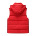 thumbnail image 1 of Ailaofu Women's Puffer Vest Casual Stand Collar Quilted Waistcoat Outdoor Padded Ski Vest, 1 of 7
