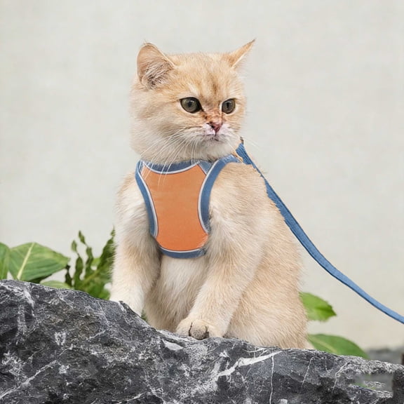 Ailezt Cat Harness Cat Soft And Breathable Vest Cat Leash Easy To Wear For Cats Walking And Traveling