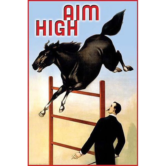 Aim High- Fine Art Canvas Print (20" x 30")