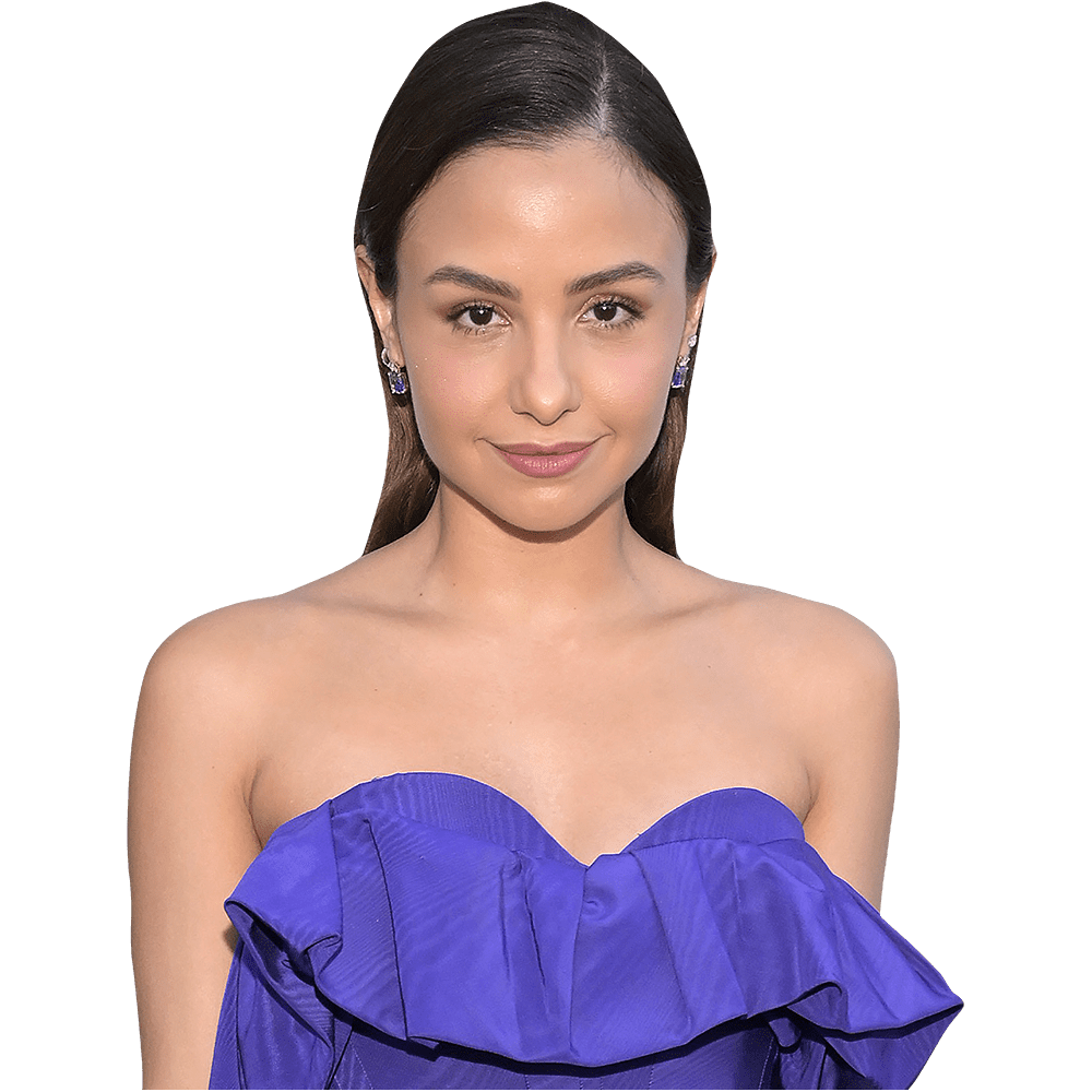 Aimee Carrero (Purple Dress) Half Body Buddy Cutout - Walmart.com