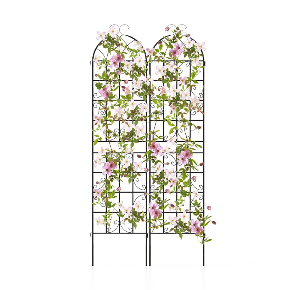 Aimee Lii 2 Pack Metal Garden Trellis Decorative for Climbing Plants, Tomato Trellis for Raised Garden Bed, Garden Trellis for Vegetables, Black
