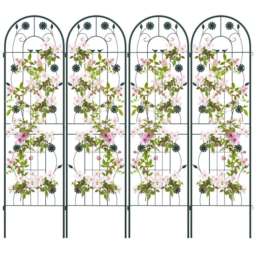 Aimee Lii 4 Pack 71 x 20 Inches Metal Garden Trellis for Climbing Plants, Tomato Trellis for Raised Garden Bed, Garden Trellis for Vegetables, Green Aimee Lii 4 Pack 71 x 20 Inches Metal Garden Trellis for Climbing Plants, Tomato Trellis for Raised Garden Bed, Garden Trellis for Vegetables, Green