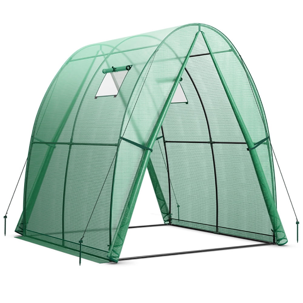 Aimee Lii 6 x 6 x 6.6 FT Outdoor Wall-In Tunnel Greenhouse, Portable Greenhouses for Outdoors, Green