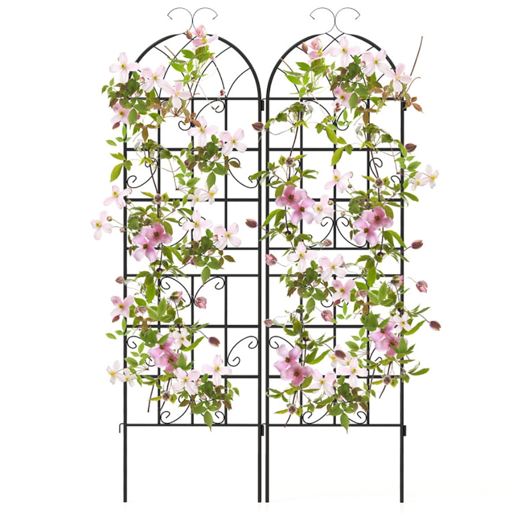 Aimee Lii 71 x 20 Inch Metal Garden Trellis for Climbing Plants, Flowers Stands Vegetables Patio Metal Lattices Grid Panels for Ivy Cucumbers, Set of 2, Green Aimee Lii 71 x 20 Inch Metal Garden Trellis for Climbing Plants, Flowers Stands Vegetables Patio Metal Lattices Grid Panels for Ivy Cucumbers, Set of 2, Green