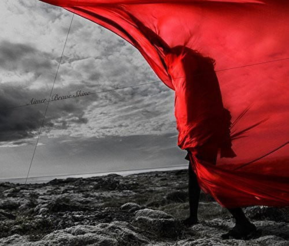 Aimer - Brave Shine - CD - Walmart.com