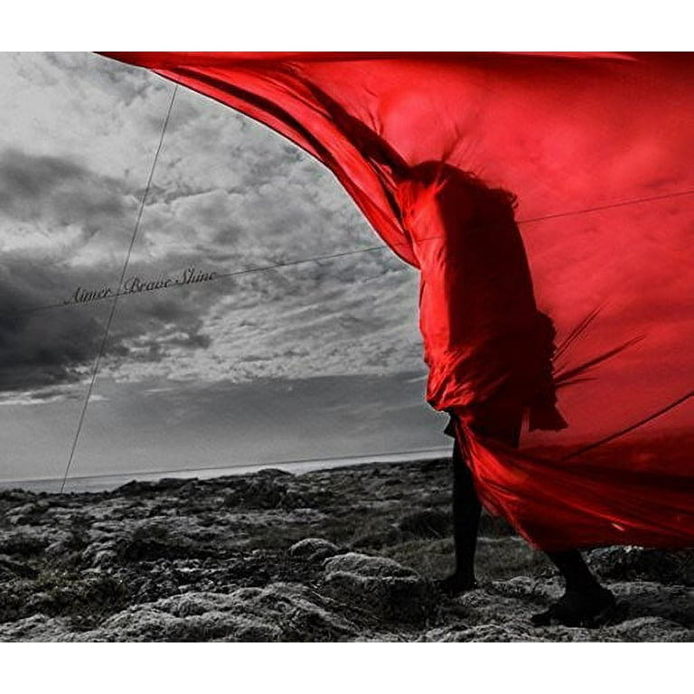Aimer - Brave Shine - CD - Walmart.com