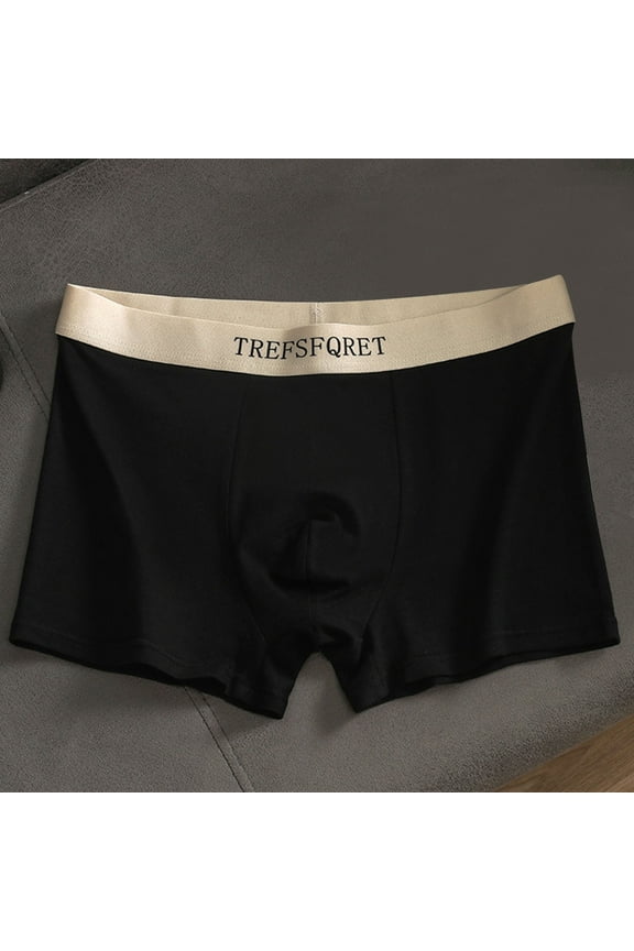 Hanes Men's Boxer Briefs, Breathable Modal Mens Underwear with Support Pouch, Tag-Free Trunks Underwear-Black XXXL