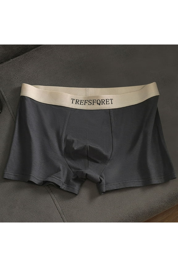 Hanes Men's Boxer Briefs, Breathable Modal Mens Underwear with Support Pouch, Tag-Free Trunks Underwear-Dark Gray XXL