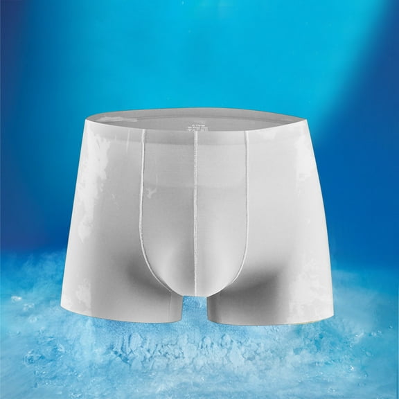 Aimik Hanes Men's Ice Silk Cool Underwear, Sexy Ultra-Thin Boxers Briefs, Breathable Soft Comfy Elastic Boxers Trunks Shorts-Silver XXXL