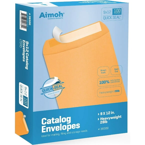 Security Envelopes in Envelopes - Walmart.com