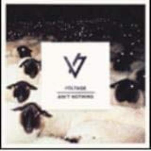 Voltage Ain'T Nothing (Vinyl Record)