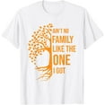 thumbnail image 1 of Ain't No Family Like The One I Got Family Reunion Mens T-Shirt, 1 of 8