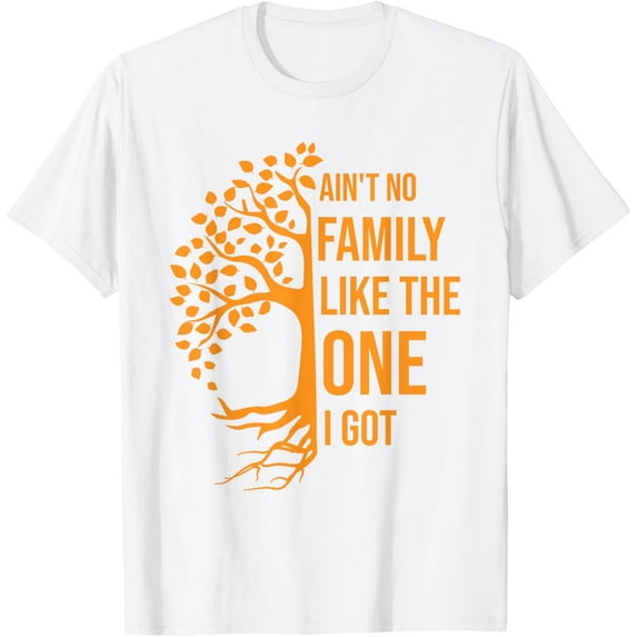 Ain't No Family Like The One I Got Family Reunion Mens T-Shirt