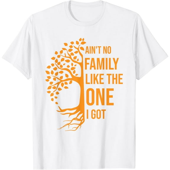 Ain't No Family Like The One I Got Family Reunion T-Shirt