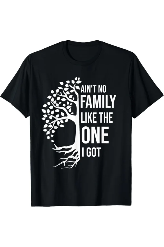 Ain't No Family Like The One I Got Funny Family Reunion 2025 T-Shirt