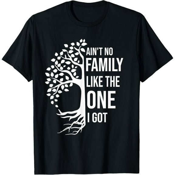 Ain't No Family Like The One I Got Funny Family Reunion T-Shirt