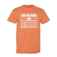 thumbnail image 1 of Aint No Hood Like Fatherhood Sarcastic Humor Graphic Novelty Funny T Shirt, 1 of 5