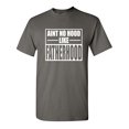 thumbnail image 1 of Aint No Hood Like Fatherhood Sarcastic Humor Graphic Novelty Funny T Shirt, 1 of 5