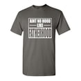 thumbnail image 1 of Aint No Hood Like Fatherhood Sarcastic Humor Graphic Novelty Funny Youth T Shirt, 1 of 3