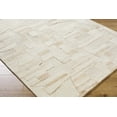 thumbnail image 1 of BoutiqueRugs Aintza Bohemian, Transitional Area Rug - Ivory, Beige, Tan - 6' x 9', 1 of 6