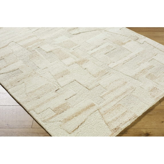 BoutiqueRugs Aintza Bohemian, Transitional Area Rug - Ivory, Beige, Tan - 6' x 9'