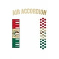 thumbnail image 1 of Air Accordion Cinco de Mayo: Air Accordion Cinco de Mayo Mexican Flag Fiesta (Paperback), 1 of 1