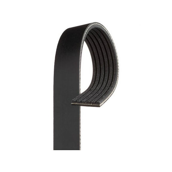 Air Conditioning, Alternator, Fan, Power Steering and Water Pump Multi Rib Belt - Compatible with 2017 - 2019 Chevy Silverado 2500 HD 6.6L V8 L5P VIN Y 2018