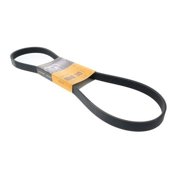 Air Conditioning - Compressor To Compressor Accessory Drive Belt - Compatible with 2018 - 2024 Audi S4 3.0L V6 2019 2020 2021 2022 2023