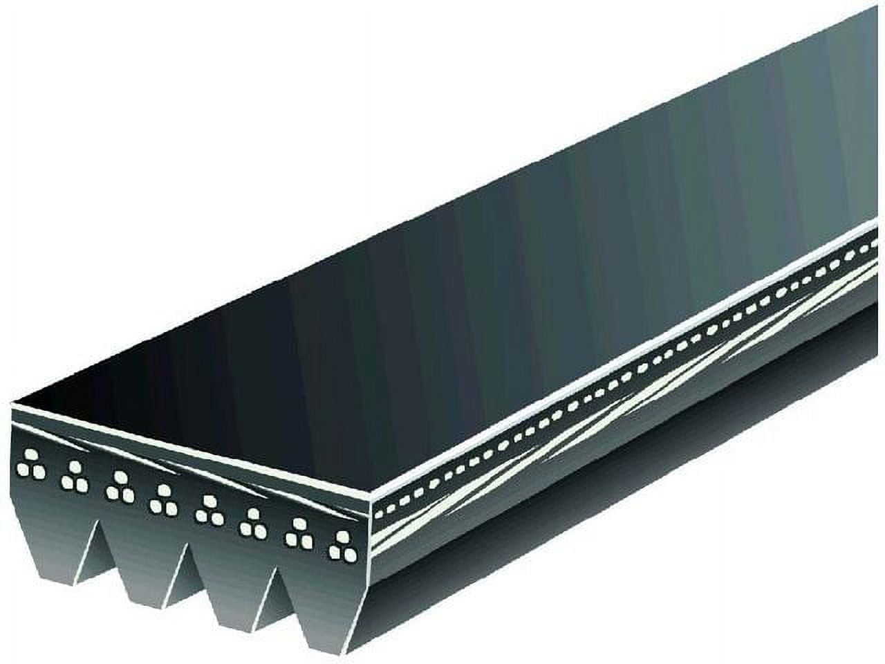 Air Conditioning Multi Rib Belt - Compatible with 1989, 1991 - 1994 Geo ...
