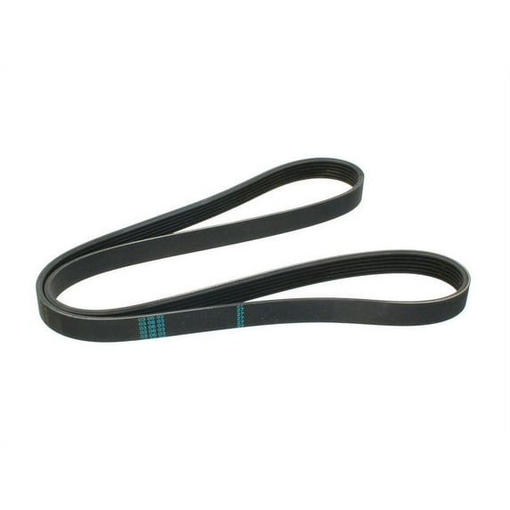 Air Conditioning and Power Steering Multi Rib Belt - Compatible with 1995 - 1996 Jaguar XJ12