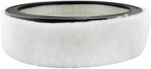 Air Element with Foam Wrap Baldwin PA2073