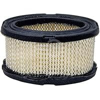 Air Filter Cleaner for Chipper Shredder Compatible with Craftsman 247.795890 247795890