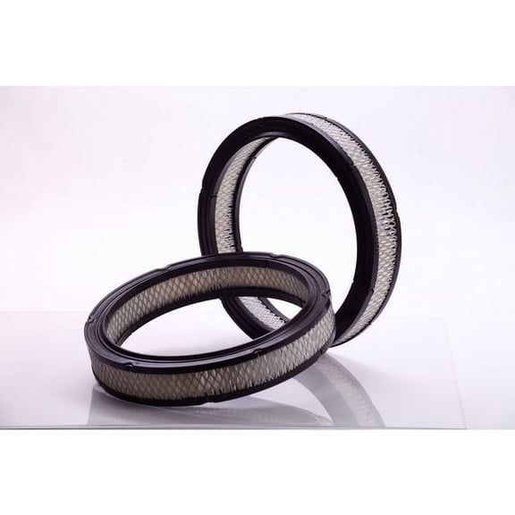 Air Filter - Compatible with 1980 - 1982 Ford Thunderbird 3.3L 6-Cylinder 1981
