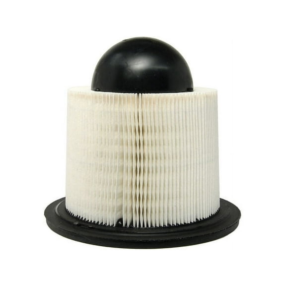 Air Filter - Compatible with 2003 - 2014 Ford E-250 2004 2005 2006 2007 2008 2009 2010 2011 2012 2013