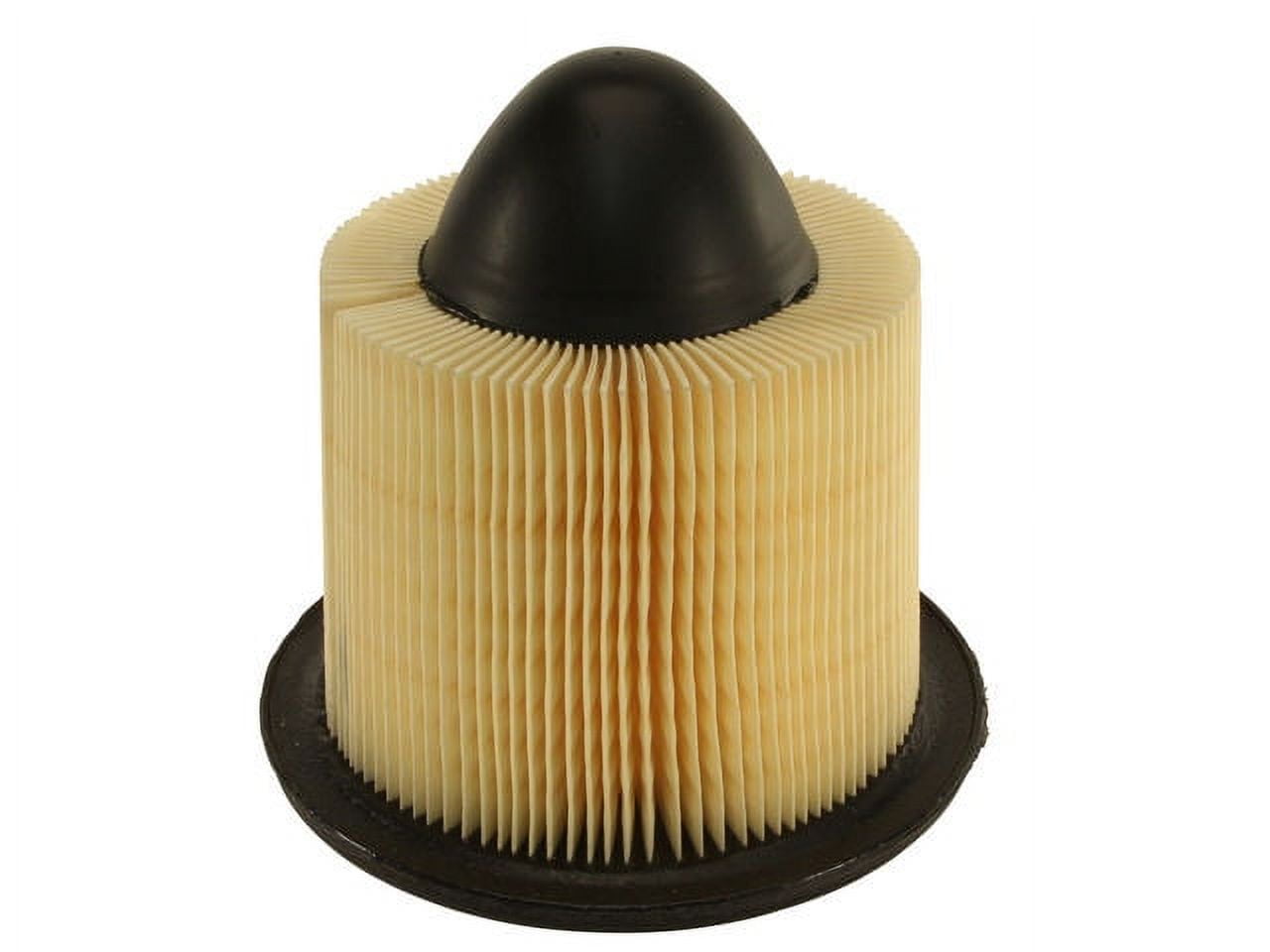 2004 Ford F150 Air Filter
