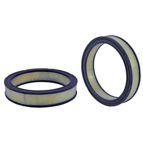 Air Filter Fits select: 1979 FORD F150, 1979 FORD F100