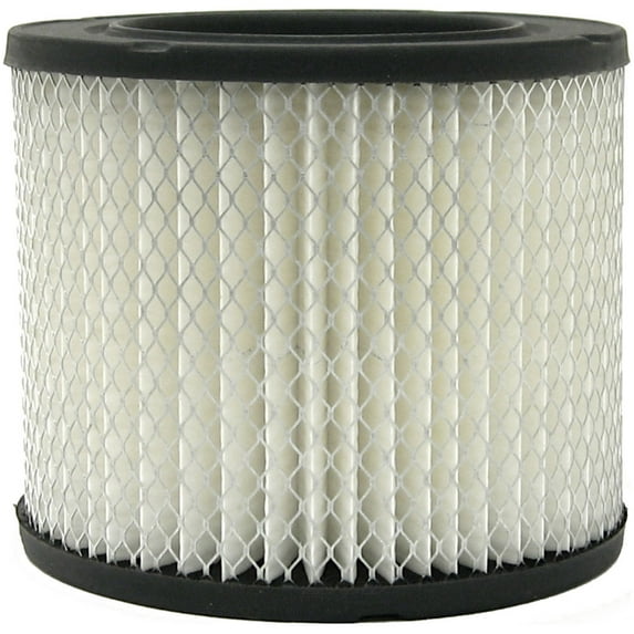 Air Filter Fits select: 1985-1990 CHEVROLET CELEBRITY, 1994 CHEVROLET CAVALIER