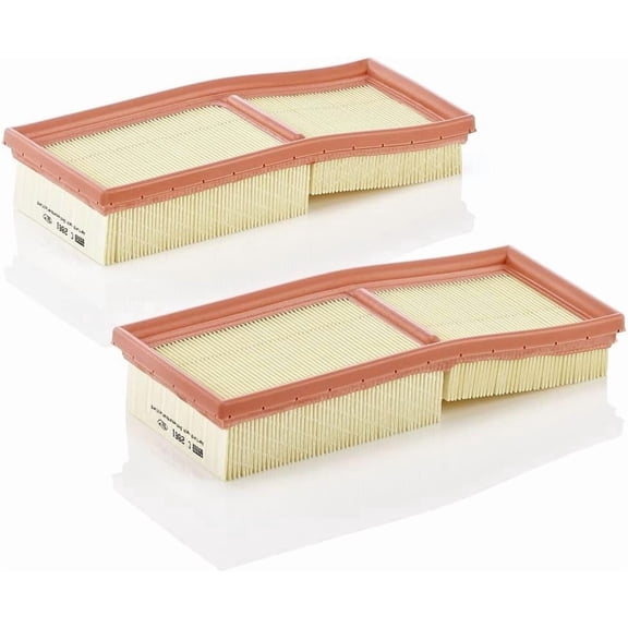 MANN-FILTER C 2861-2 - Engine Air Filter