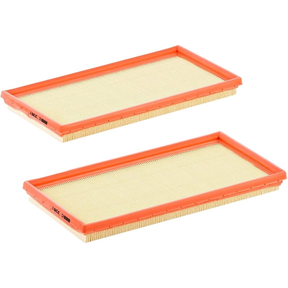 MANN-FILTER C 3361-2 - Engine Air Filter