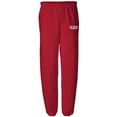 thumbnail image 1 of Air Force Emblem Elastic Bottom Sweatpants with white print, 1 of 2