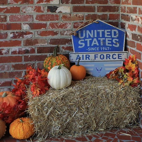 Air Force Logo Rustic Badge Sign