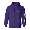 thumbnail image 1 of Air Force "Veteran" White Sleeve Print Adult Hooded Sweatshirt, 1 of 3