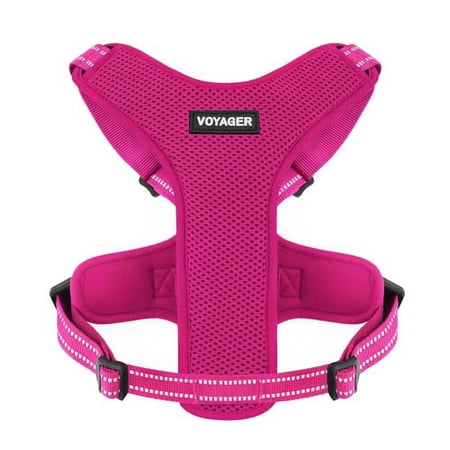 Air Frontier Mesh Dog Harness with Steel Leash D-Ring, Reflective Stitching, and Lightweight Breathable No-Pull Design, Adjustable Neck and Chest Straps for Small to Large Breeds - FSW, L