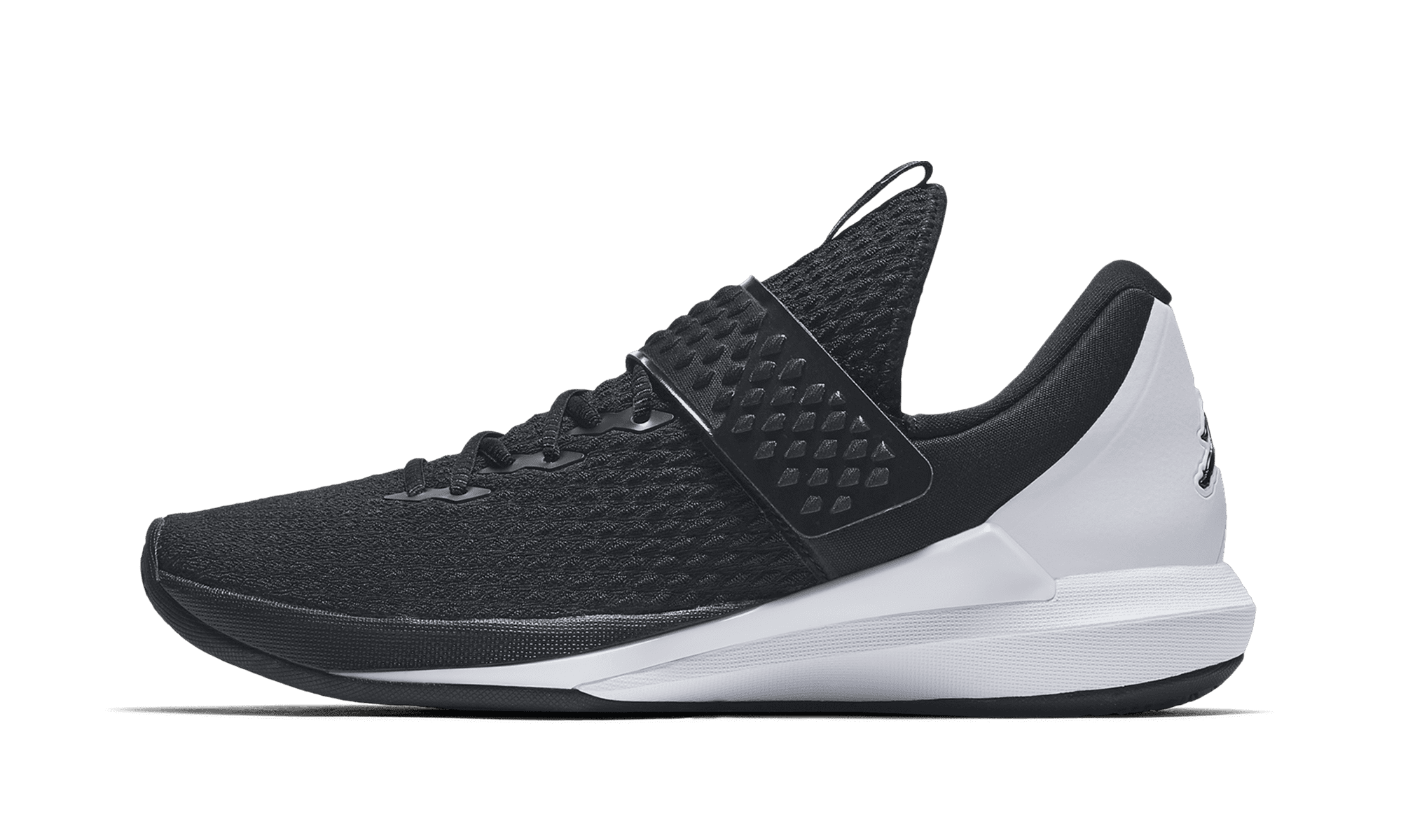 Air Jordan Trainer 3 