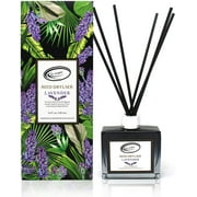 Air Jungles Lavender Scent Reed Diffuser Set with Sticks, Essential Incense Oil Air Freshener for Bathroom, Office, Gym, and Bedroom Fragrance, 3.4 fl. Oz